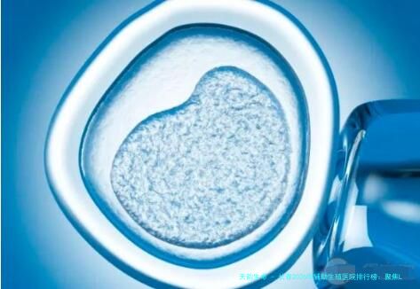 长春2026年辅助生殖医院排行榜：聚焦LGBT群体生育支持，附、价格与医生推荐一览