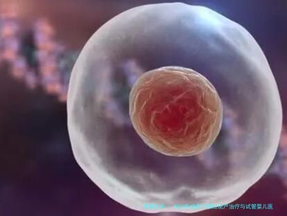 2026年成都习惯性流产治疗与试管婴儿医院前十强：华西附二院、四川省人民医院等知名机构详解