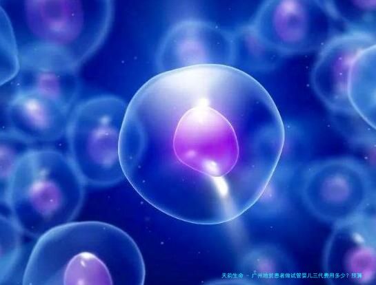 广州地贫患者做试管婴儿三代费用多少？预算如何合理分配？