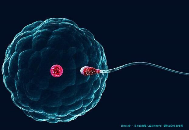 日本试管婴儿成功率如何？揭秘助您生育梦圆的关键因素！