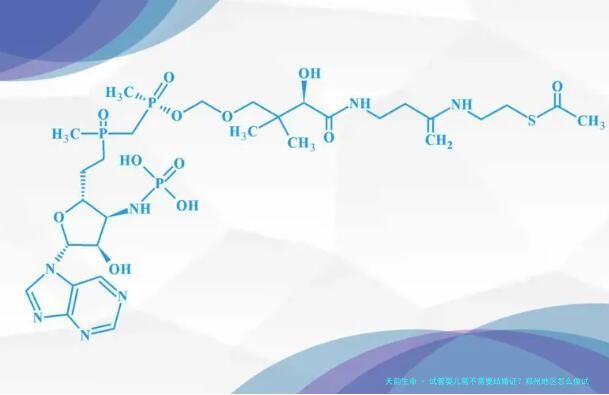 试管婴儿需不需要结婚证？郑州地区怎么做试管婴儿？