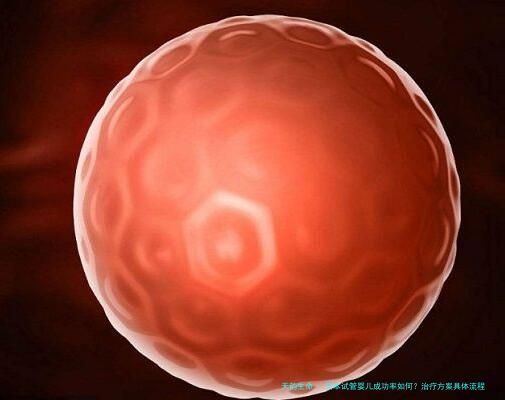 日本试管婴儿成功率如何？治疗方案具体流程是怎样的？