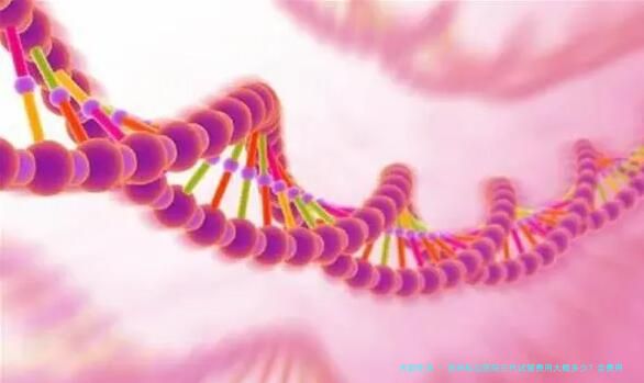 苏州私立医院三代试管费用大概多少？含费用明细与避坑技巧！