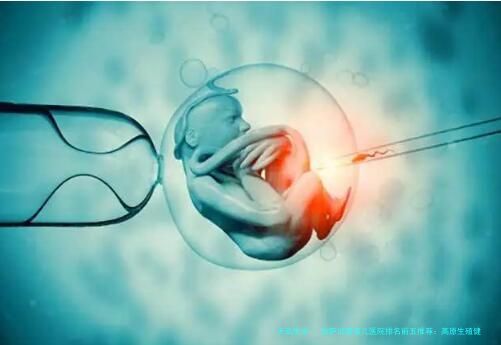 拉萨试管婴儿医院排名前五推荐：高原生殖健康守护者