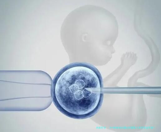 HIV患者如何通过试管婴儿技术安全生育？南充试管医院有哪些专业机构推荐？