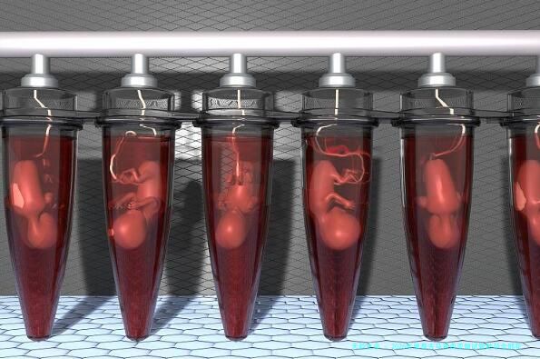 2026年单身去马来西亚做试管助孕全部花费明细