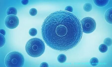 私立做三代试管婴儿费用要花多少钱？