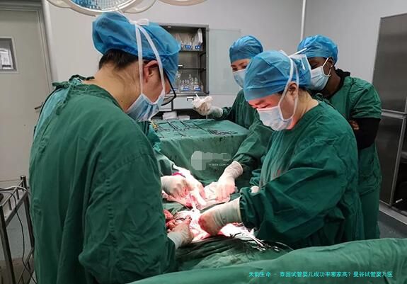 泰国试管婴儿成功率哪家高？曼谷试管婴儿医院性价比如何？