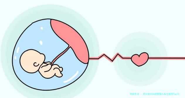 河北省2026试管婴儿私立医院Top10榜单及费用汇总介绍