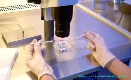 哈萨克斯坦试管助孕费用清单：2026年的总价竟比邻国低30%！