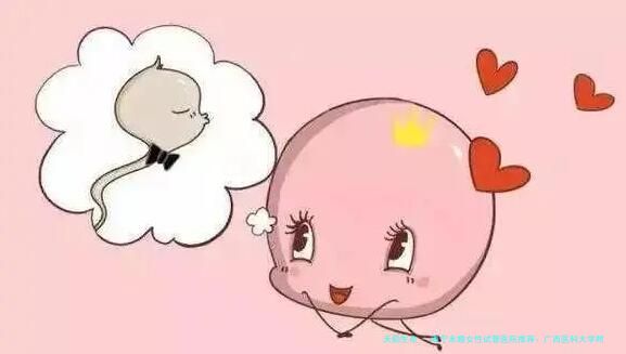 南宁未婚女性试管医院推荐：广西医科大学附属医院等4家机构技术与服务解析