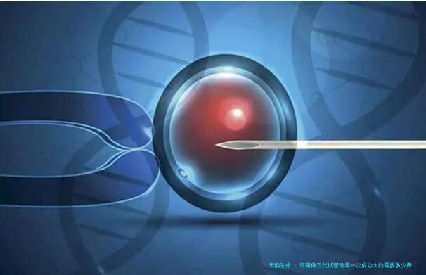 海南做三代试管助孕一次成功大约需要多少费用？