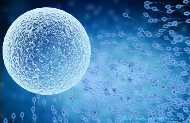 呼和浩特三代试管医院与生殖中心解析：附内蒙附院、市妇幼等机构试管费用指南