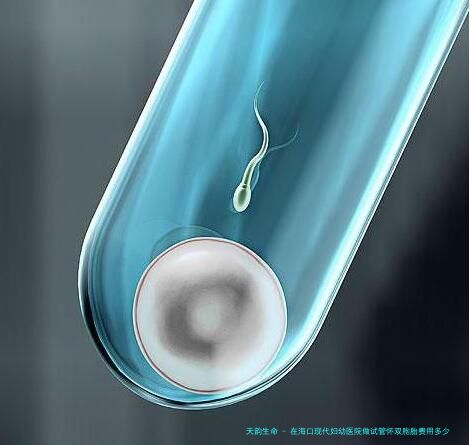 在海口现代妇幼医院做试管怀双胞胎费用多少？