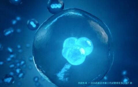 2026石家庄市第三代试管得花多少钱？助孕费用全面曝光！