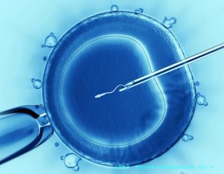 贵阳染色体异常试管医院对比指南：技术、与费用解析，公立私立各有特色