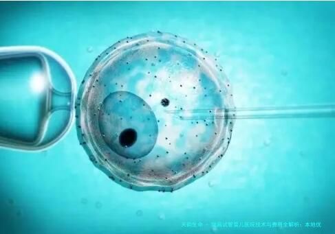 瑞昌试管婴儿医院技术与费用全解析：本地优选机构指南及2026年新补贴政策