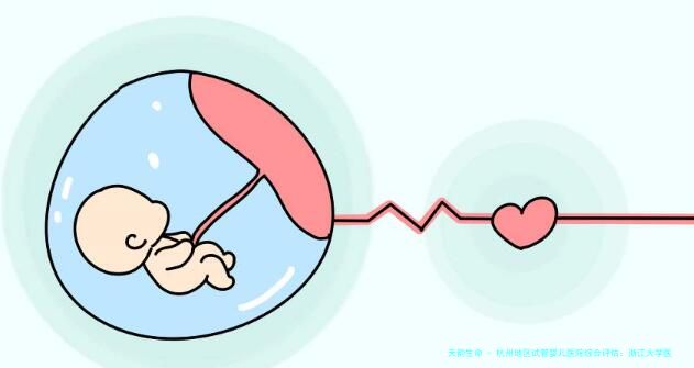 杭州地区试管婴儿医院综合评估：浙江大学医学院附属妇产科医院、邵逸夫医院等机构就诊指南与费用解析