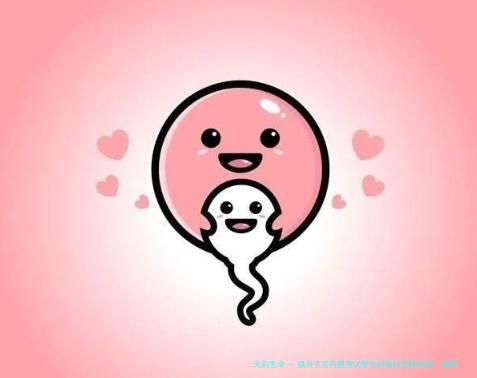 福州子宫内膜薄试管专科医院选择指南：福建省妇幼保健院、联勤保障部队第900医院等机构深入解析