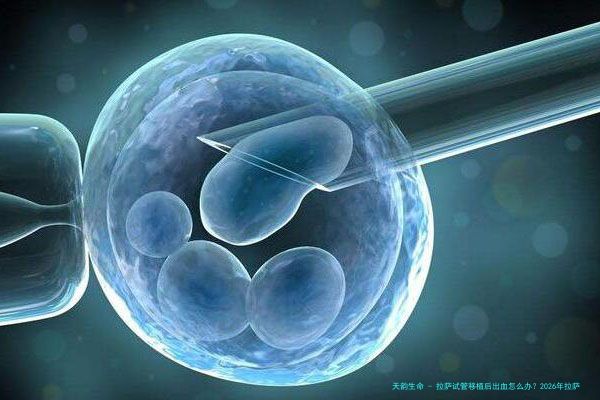 拉萨试管移植后出血怎么办？2026年拉萨口碑前十试管医院汇总及专业处理建议