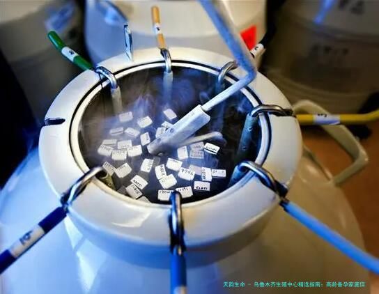 乌鲁木齐生殖中心精选指南：高龄备孕家庭信赖的辅助生殖医院与专家解析