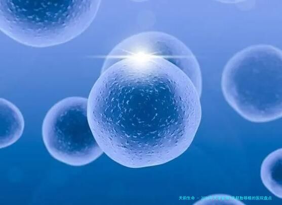 2026年天津能做3天胚胎移植的医院盘点：附天津妇产专科医院选择指南