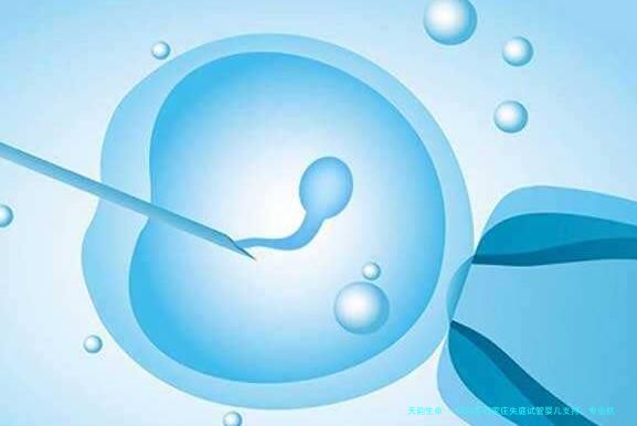 2026年石家庄失庭试管婴儿支持：专业机构深度指南与温情服务解析