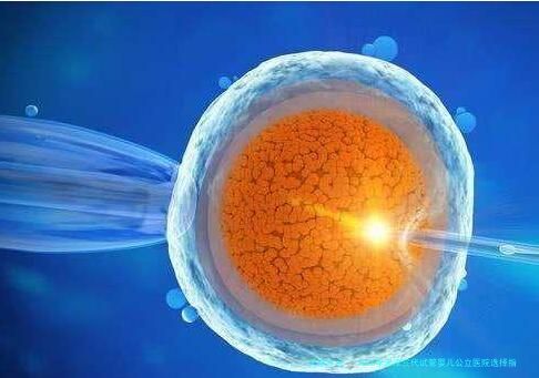 2026年天津三代试管婴儿公立医院选择指南：机构技术与费用详解