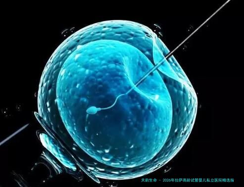 2026年拉萨高龄试管婴儿私立医院精选指南：、费用与服务深度解析