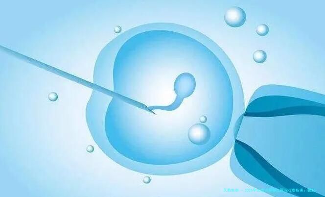2026年太原试管婴儿医院收费指南：囊胚移植价格与三代试管费用明细，附高机构推荐