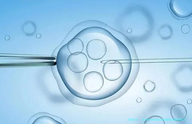 2026年郑州单身女性试管婴儿医院服务与政策深度解析：附本地正规生殖中心对比及费用指南