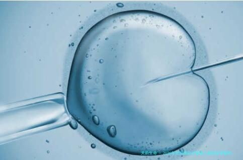 2026年贵阳高龄试管婴儿医院深度解析：贵州省妇幼保健院、贵阳医院等机构高龄试管服务与费用指南