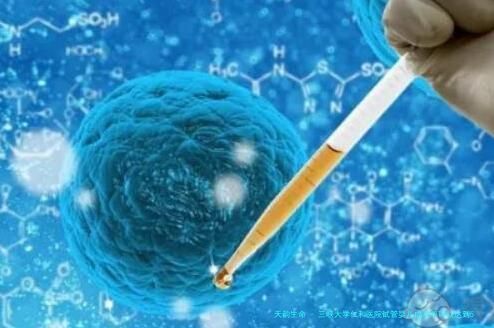 三峡大学仁和医院试管婴儿成功率可以达到50%以上吗？