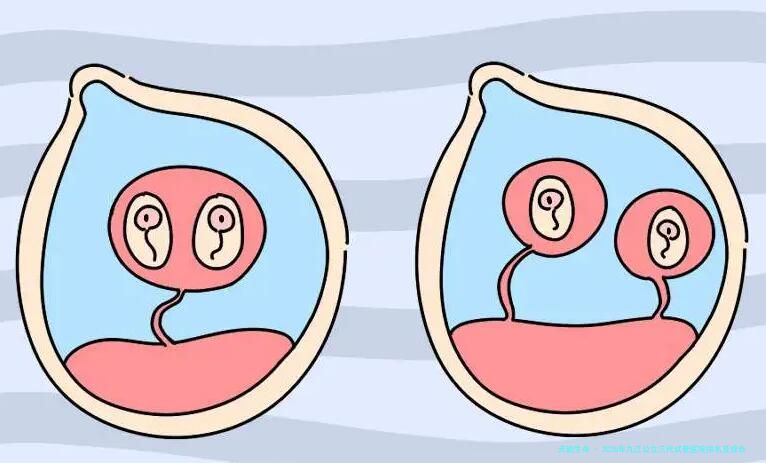 2026年九江公立三代试管医院排名及综合实力评测,附试管婴儿费用