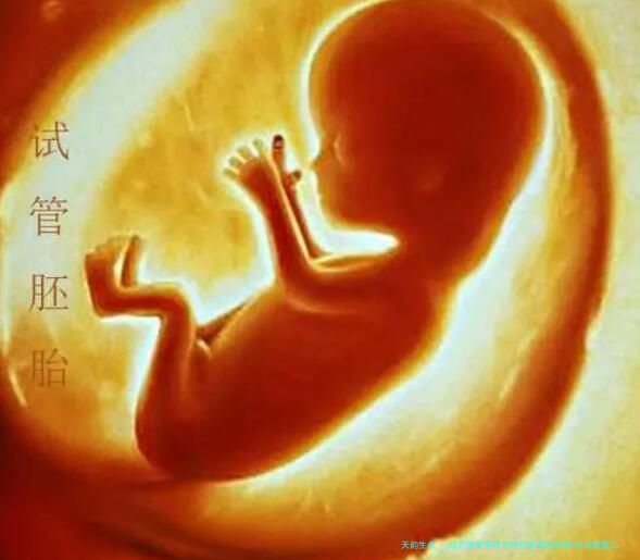 现在俄罗斯阿尔特拉维塔医院做3代试管婴儿总费用多少？6万元起收费合理吗？