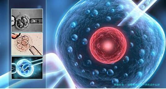 试管移植后第一天吃点什么好