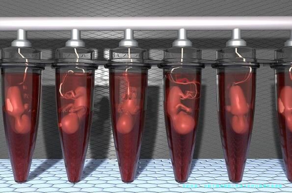 女职工做试管婴儿生孩子还可以申请生育津贴吗？