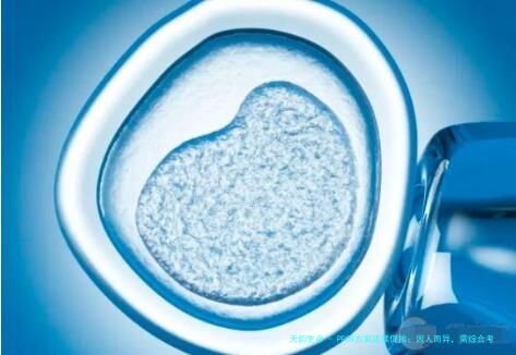 PPOS方案连续促排：因人而异，需综合考量卵巢与身体状况