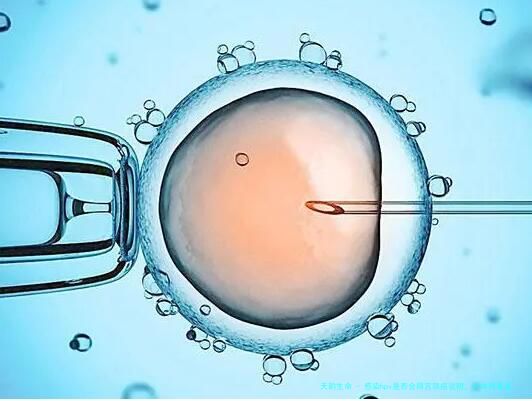 感染hpv是否会得宫颈癌说明，具体得看是否为高危类型