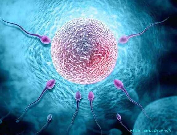 武汉私立试管机构已公布