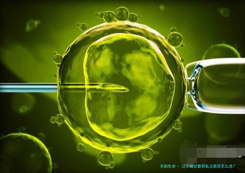 辽宁做试管的私立医院怎么选？