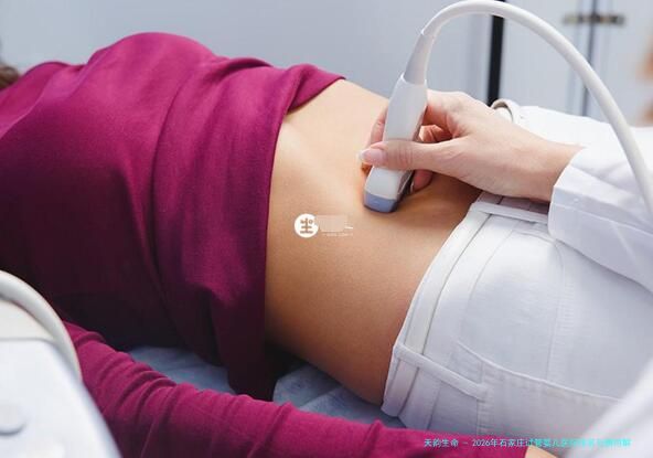 2026年石家庄试管婴儿医院排名与费用解析：附高的正规医院推荐及医生介绍