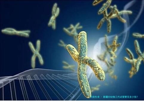 新疆妇幼做三代试管要花多少钱？