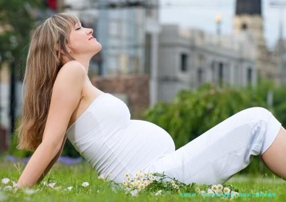 2026年拉萨试管婴儿医院前五强名单揭晓：优质卵泡培育与分析