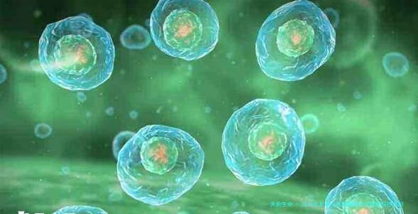 2026年长春三天胚胎移植试管医院排名前三与技术费用详情