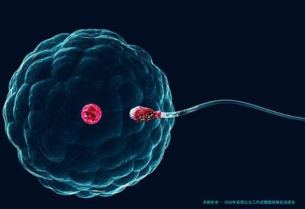 2026年安阳公立三代试管医院排名及综合实力评测,附试管成功率较高的医院