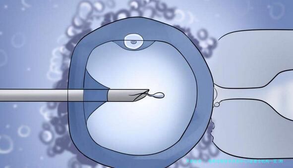 海南试管助孕咨询中心9家最全机构一览(附2026年试管指南)