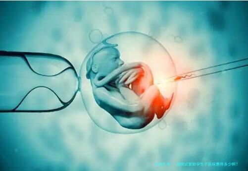 湖南试管助孕生子医院费用多少啊？