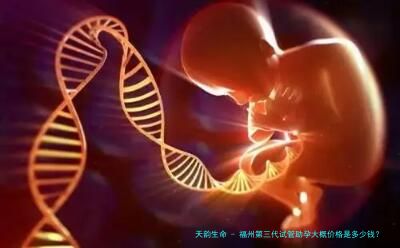 福州第三代试管助孕大概价格是多少钱？