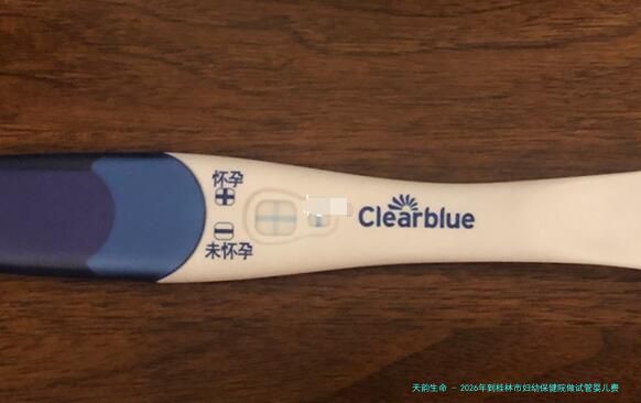 2026年到桂林市妇幼保健院做试管婴儿费用是多少？
